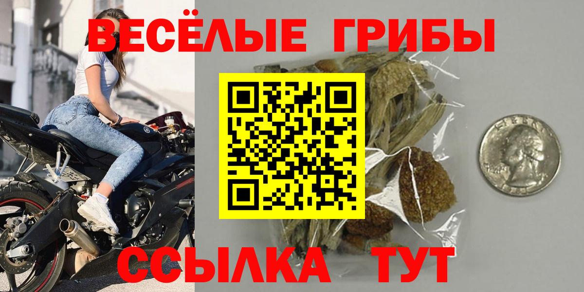 Курчатов  Галлюциногенные грибы прущие грибы  Вход с VPN  цены   Галлюциногенные грибы Psilocybine cubensis 